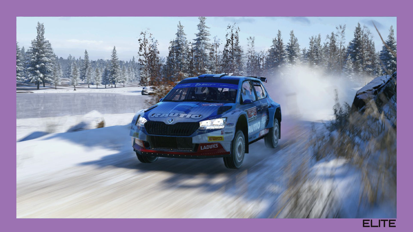 WRC | Skoda Fabia Rally2 Evo | Nieve | Premium